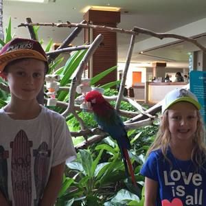 Meet your Posher, Justin